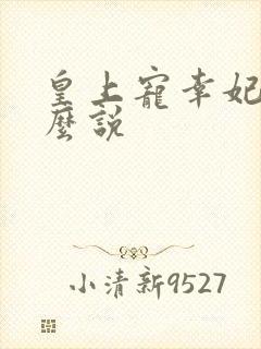 皇上宠幸妃子怎么说