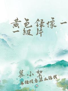 黄色录像一级片一级片