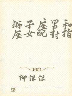 狮子座男和双子座女配对指数