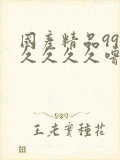 国产精品99久久久久久噜噜