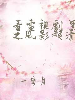 看电视剧 黑狐之风影超清