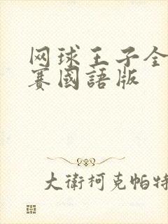 网球王子全国大赛国语版