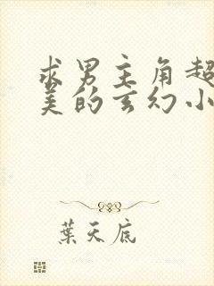 求男主角超级俊美的玄幻小说