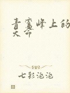 青鸾峰上的无敌天命