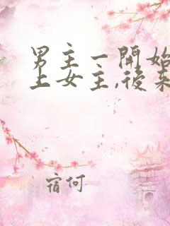 男主一开始看不上女主,后来打脸的小说