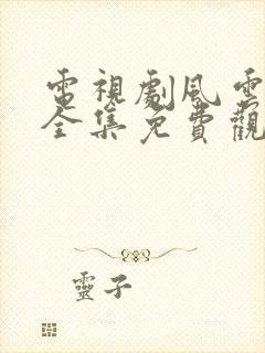 电视剧风云年代全集免费观看