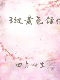 3级黄色录像片