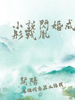 小说闪婚成宠海彤战胤