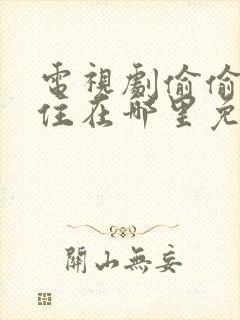 电视剧偷偷藏不住在哪里免费看