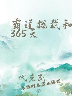 霸道总裁和他的365天