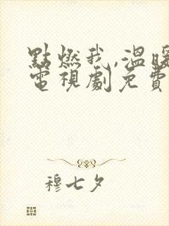 点燃我,温暖你电视剧免费观看59