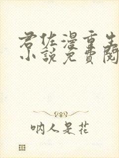 君佐漫重生官场小说免费阅读