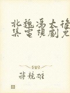 北魏冯太后42集电视剧免费观看