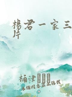 杨君一家三口照片