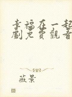 幸福在一起电视剧免费观看全集