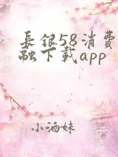 长银58消费金融下载app