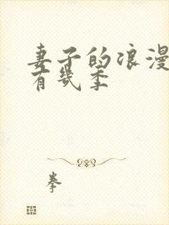 妻子的浪漫旅行有几季