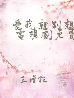 爱我就别想太多 电视剧免费观看40集