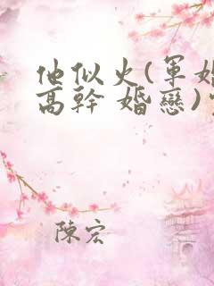 他似火(军婚 高干 婚恋)完结