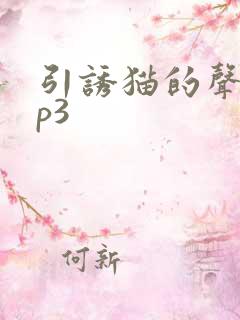 引诱猫的声音mp3