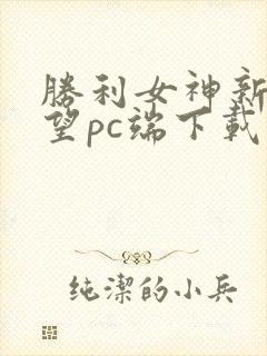 胜利女神新的希望pc端下载