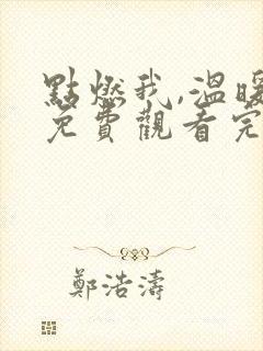 点燃我,温暖你免费观看完整版