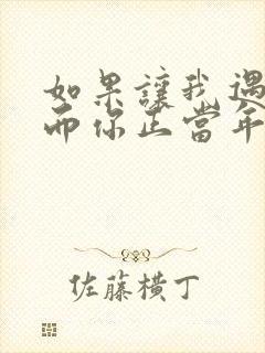 如果让我遇见你而你正当年轻求歌名