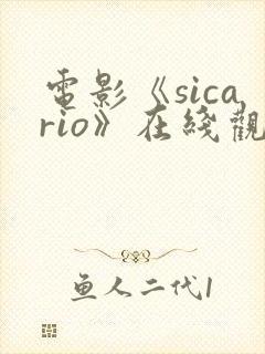 电影《sicario》在线观看