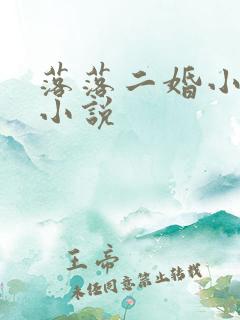 落落二婚小说 小说