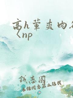 高h荤爽肉欲文〈np