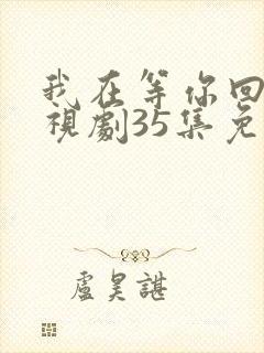 我在等你回家电视剧35集免费观看
