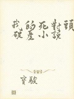 我的死对头终于破产小说