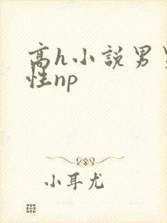 高h小说男男双性np