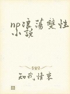 np浪荡双性受小说