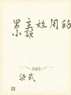 男主姓周的全部小说