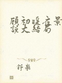 顾初暖夜景寒小说大结局