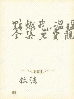 点燃我,温暖你全集免费观看