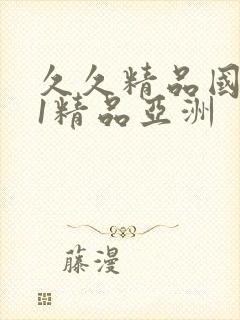 久久精品国产91精品亚洲