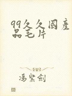 99久久国产精品毛片