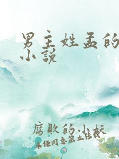 男主姓孟的现代小说