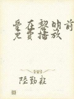 爱在黎明前升起免费播放