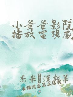 小爸爸影院免费播放电视剧