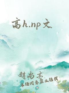 高h.np文