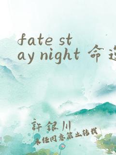 fate stay night 命运之夜