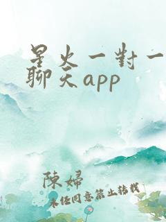 星火一对一视频聊天app