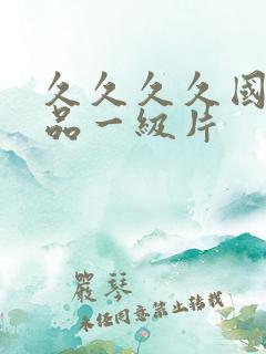 久久久久国产精品一级片