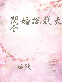 闪婚总裁太霸道全