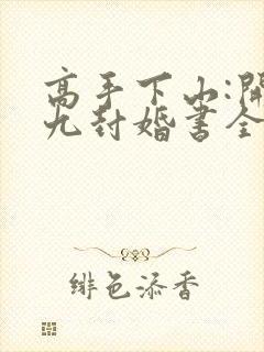 高手下山:开局九封婚书全文txt下载