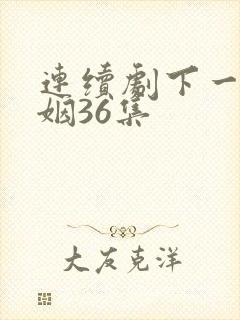 连续剧下一站婚姻36集