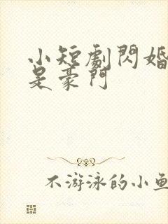 小短剧闪婚老公是豪门